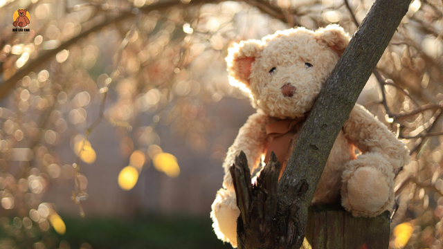 Gấu bông cao cấp làm quà tặng