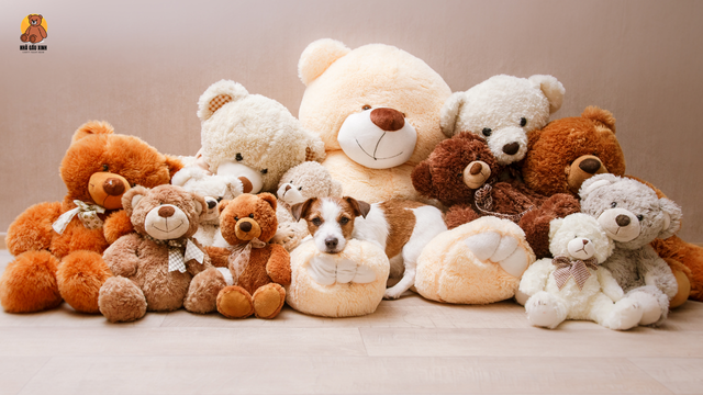 Gấu bông cao cấp làm quà tặng