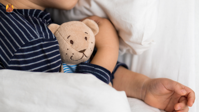 Gấu Bông Ôm Ngủ Mềm Mịn Nhà Gấu Xinh